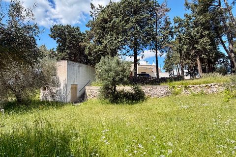 Masia a Cisternino, Brindisi, Cisternino - € 290.000 | Ref: 382 - foto 8